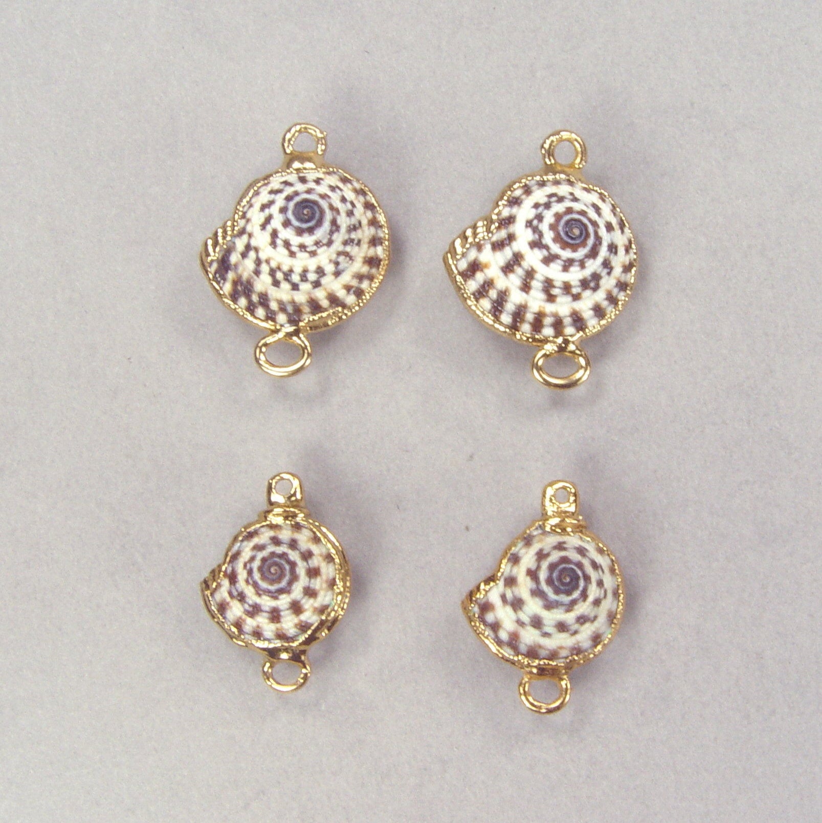 Limited-Time Specials: Heliacus Seashell Connectors (Earring Pairs)